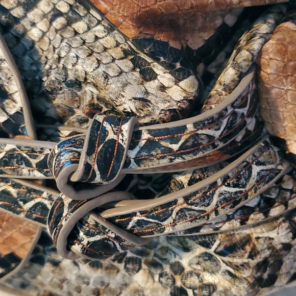Big buddy faux snake skin purse - Picture 2 of 12